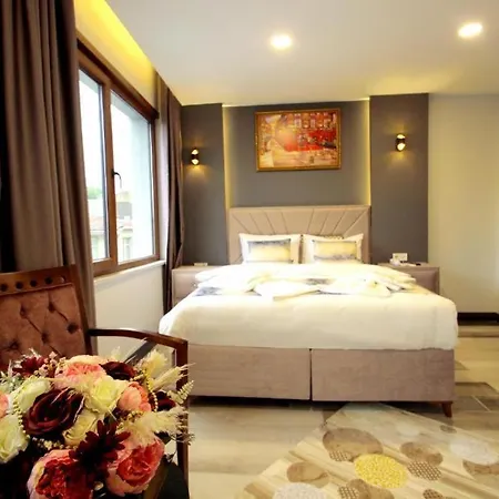 Hotel Guler Palace Suit *