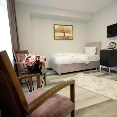 Guler Palace Hotel *