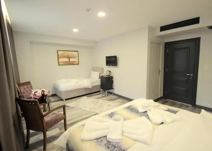 Guler Palace Hotell *